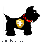 تنزيل برنامج حماية الكمبيوتر وين باترول Download WinPatrol 33.6.2022.18