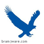 برنامج تسريع تحميل الملفات من الانترنت EagleGet 2.0.4.90